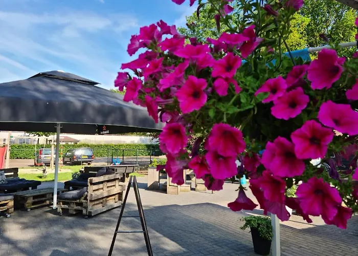 Casa Ibiza Is Vakantie In Drenthe