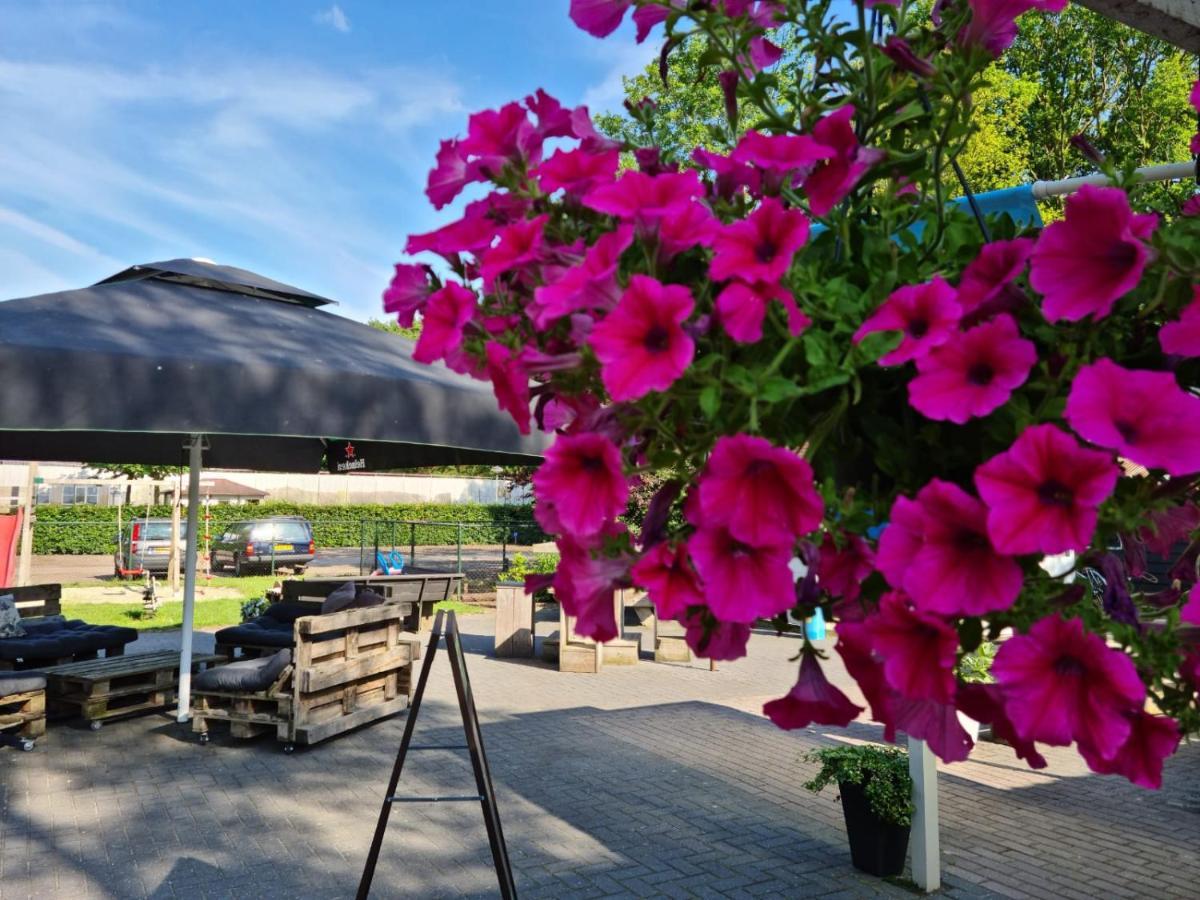 Chalet Casa Ibiza Is In Drenthe Schoonebeek